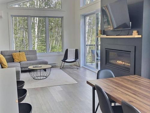 Living room - 1578 Ch. Des Hauts-Bois, Saint-Irénée, QC - Indoor Photo Showing Living Room With Fireplace