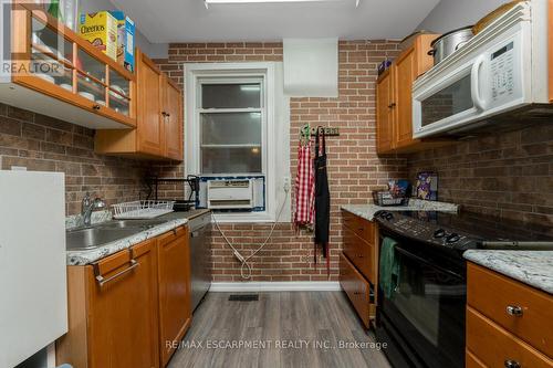 236 Grosvenor Avenue N, Hamilton (Crown Point), ON - Indoor Photo Showing Kitchen With Double Sink