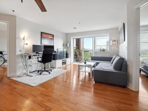 Living room - 503-100 Rue Rhéaume, Montréal (Verdun/Île-Des-Soeurs), QC - Indoor