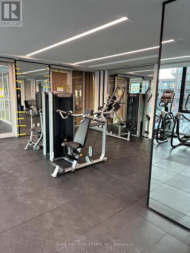 Th108 - 220 Missinnihe Way, Mississauga, ON - Indoor Photo Showing Gym Room