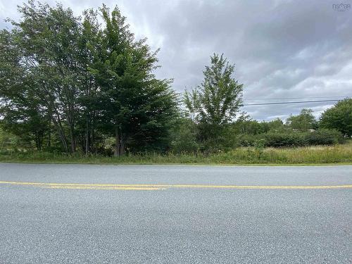 Lot (Pid 60326535) Upper Branch Road, Auburndale, NS 