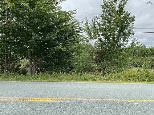 Lot (Pid 60326535) Upper Branch Road, Auburndale, NS 