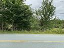Lot (Pid 60326535) Upper Branch Road, Auburndale, NS 