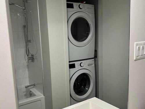 Bathroom - 1221-101 Rue Murray, Montréal (Le Sud-Ouest), QC - Indoor Photo Showing Laundry Room