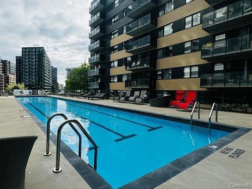 Piscine - 1221-101 Rue Murray, Montréal (Le Sud-Ouest), QC - Outdoor With In Ground Pool