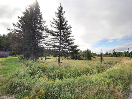 Land/Lot - 321 Route 113 S., Senneterre - Paroisse, QC - Outdoor With View