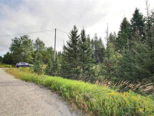 Terre/Terrain - 321 Route 113 S., Senneterre - Paroisse, QC - Outdoor With View