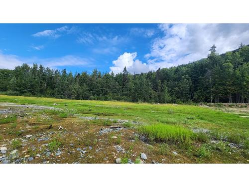 Lot B Highway 23, Nakusp, BC 