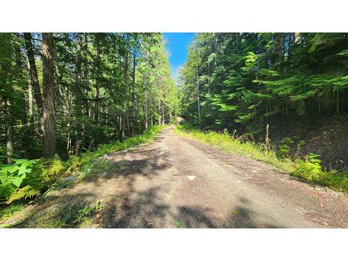 Lot B Highway 23, Nakusp, BC 