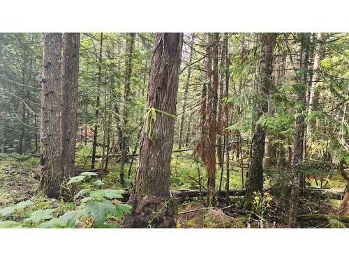 Lot B Highway 23, Nakusp, BC 