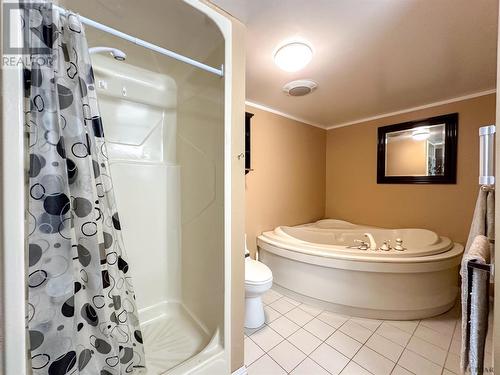 441 Nosov Dr, Iroquois Falls, ON - Indoor Photo Showing Bathroom