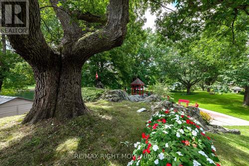 1032 Cowbell Lane, Gravenhurst, ON - Outdoor