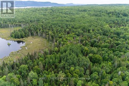 0 Highway 17, Laurentian Hills, ON 