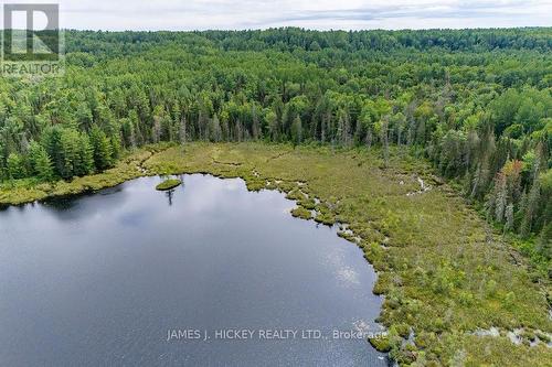 0 Highway 17, Laurentian Hills, ON 