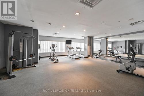 1606 - 1328 Birchmount Road, Toronto (Wexford-Maryvale), ON - Indoor Photo Showing Gym Room