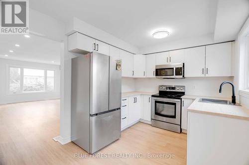 88 - 1095 Jalna Boulevard, London, ON - Indoor Photo Showing Kitchen