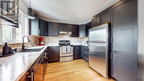 13 Hayfield Place, Paradise, NL - Indoor Photo Showing Kitchen With Stainless Steel Kitchen With Double Sink With Upgraded Kitchen