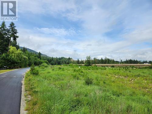 Block 16 22 Highway, Castlegar, BC 