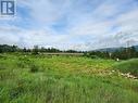 Block 16 22 Highway, Castlegar, BC 