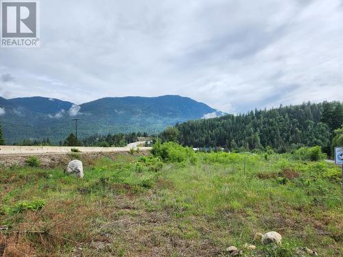 Block 16  22 Highway, Castlegar, BC 