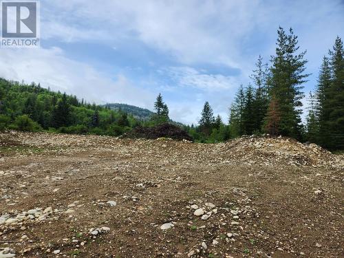 Block 16 22 Highway, Castlegar, BC 