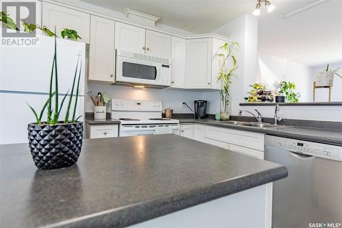 303 851 Chester Road, Moose Jaw, SK - Indoor Photo Showing Kitchen With Double Sink