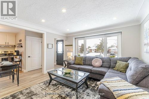 107 Winchester Boulevard, Hamilton, ON - Indoor Photo Showing Living Room