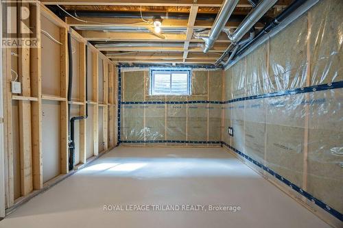 44 Foxtail Lane, St. Thomas, ON - Indoor Photo Showing Basement