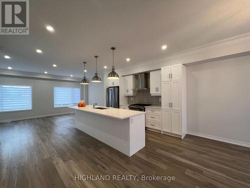 17 Cadwell Lane, Hamilton (Mountview), ON - Indoor Photo Showing Kitchen With Upgraded Kitchen