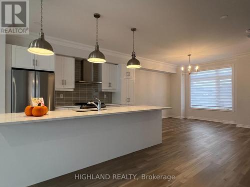 17 Cadwell Lane, Hamilton (Mountview), ON - Indoor Photo Showing Kitchen With Upgraded Kitchen