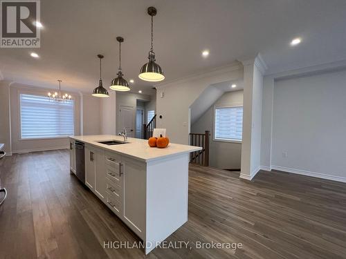 17 Cadwell Lane, Hamilton (Mountview), ON - Indoor Photo Showing Kitchen