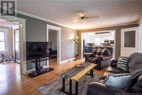 4010 Route 690, Newcastle Creek, NB - Indoor Photo Showing Living Room