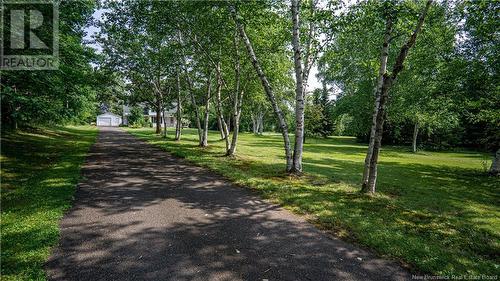 4010 Route 690, Newcastle Creek, NB - Outdoor With View