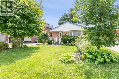 115 Brighton Avenue, Toronto (Bathurst Manor), ON - Outdoor