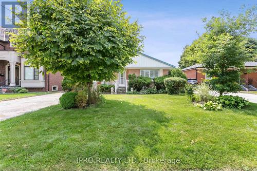 115 Brighton Avenue, Toronto (Bathurst Manor), ON - Outdoor