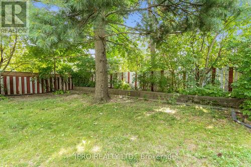 115 Brighton Avenue, Toronto (Bathurst Manor), ON - Outdoor