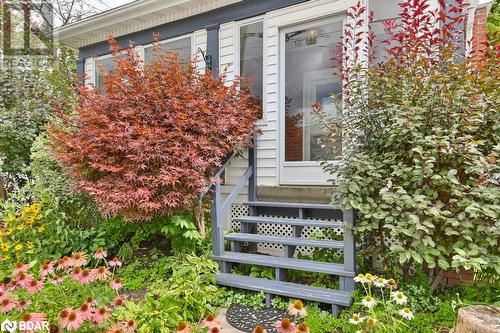 253 William Street, Belleville, ON - Outdoor