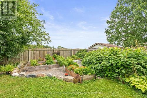 168 North Shore Road, Alnwick/Haldimand, ON - Outdoor With Backyard