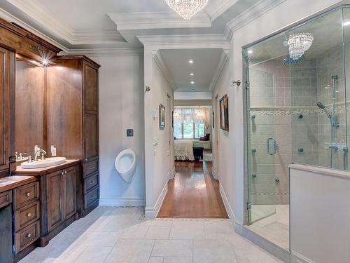 Ensuite bathroom - 156 Rue Du Bonniebrook, Saint-Colomban, QC - Indoor Photo Showing Bathroom