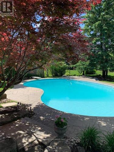 52 Forester Crescent, Markham, ON - Outdoor With In Ground Pool