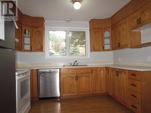 49 Raymond Heights, Corner Brook, NL - Indoor Photo Showing Kitchen