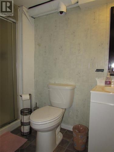 49 Raymond Heights, Corner Brook, NL - Indoor Photo Showing Bathroom