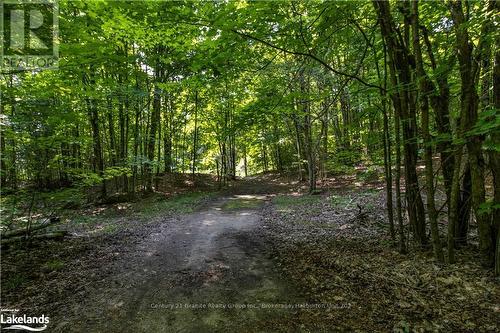 0 Sugar Bush Road, Kawartha Lakes, ON 