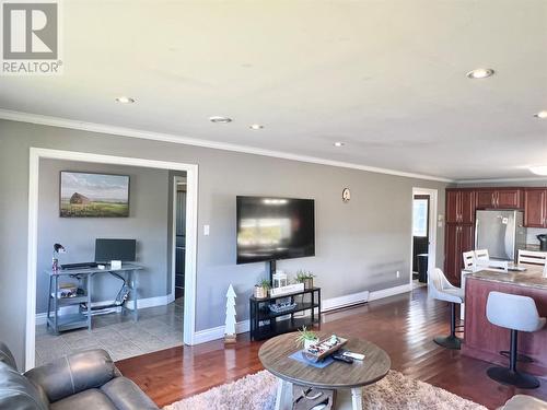 232 Main Highway, Winterton, NL - Indoor Photo Showing Living Room