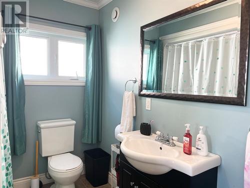 232 Main Highway, Winterton, NL - Indoor Photo Showing Bathroom