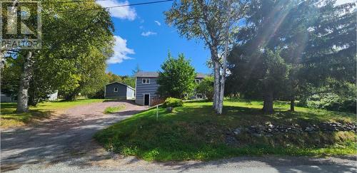 5 Steele Avenue, Appleton, NL - Outdoor