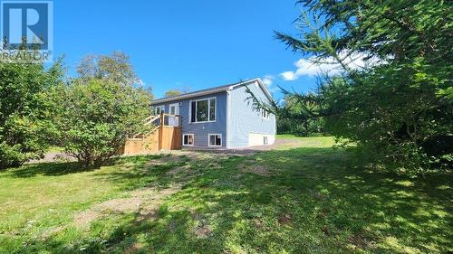 5 Steele Avenue, Appleton, NL - Outdoor