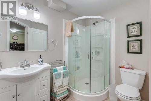 31 Hollyberry Drive, Paradise, NL - Indoor Photo Showing Bathroom