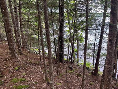 Lot 11/11A Otter Run, Labelle, NS 