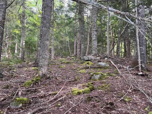 Lot 11/11A Otter Run, Labelle, NS 